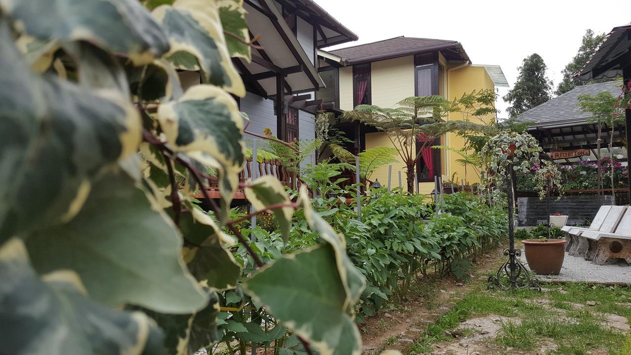 Casa Loma Cameron Highlands Vila Exterior foto